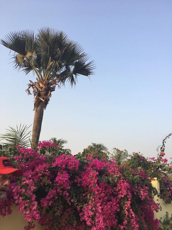Les Maisons De Marco SENEGAL - B&B photo