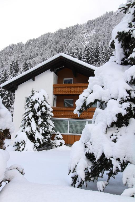 Haus Rudigier by Châtel Reizen - 3
