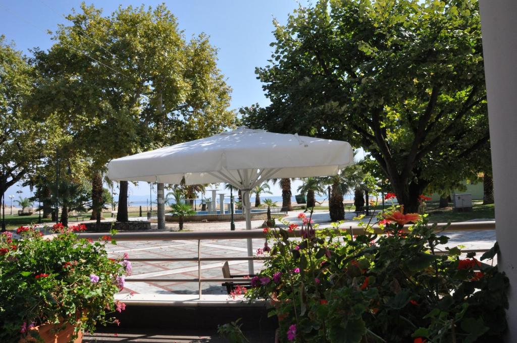 Al Mare photo