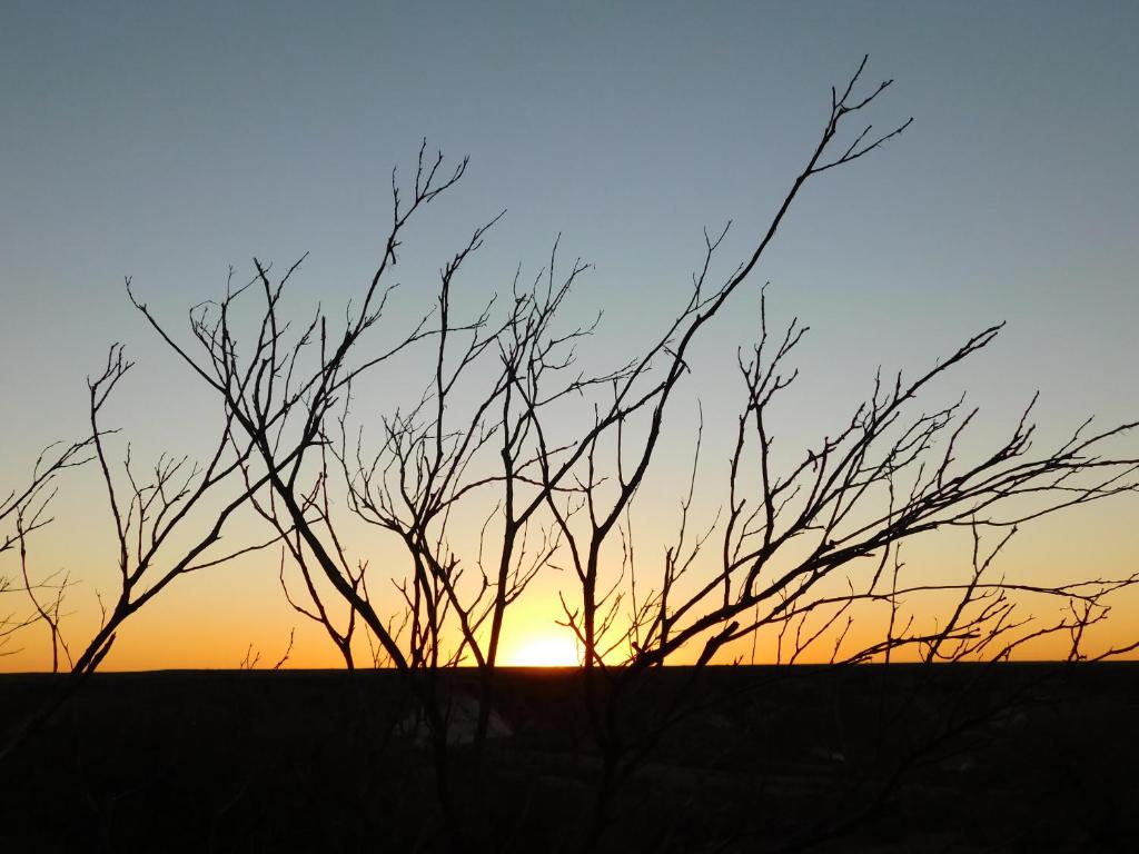 お料理のイメージ