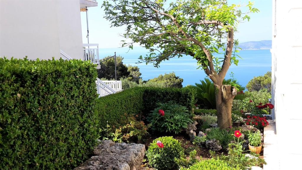 Guest house Fenix Brela photo