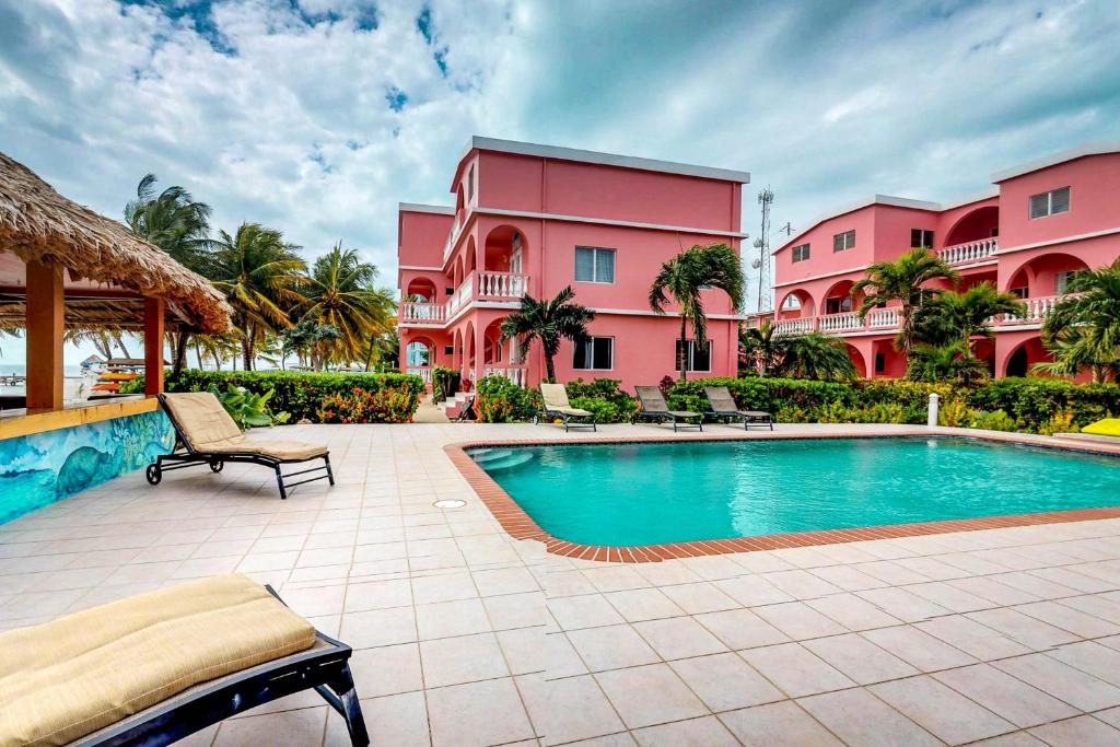 Zinnia @ Caribe Island photo