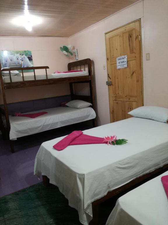 Hotel Margarita Sierpe photo