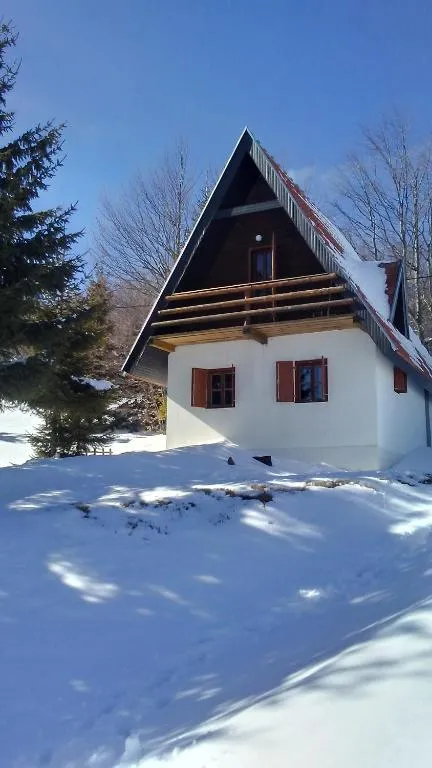 Holiday Home Ema，位于Plešin的酒店