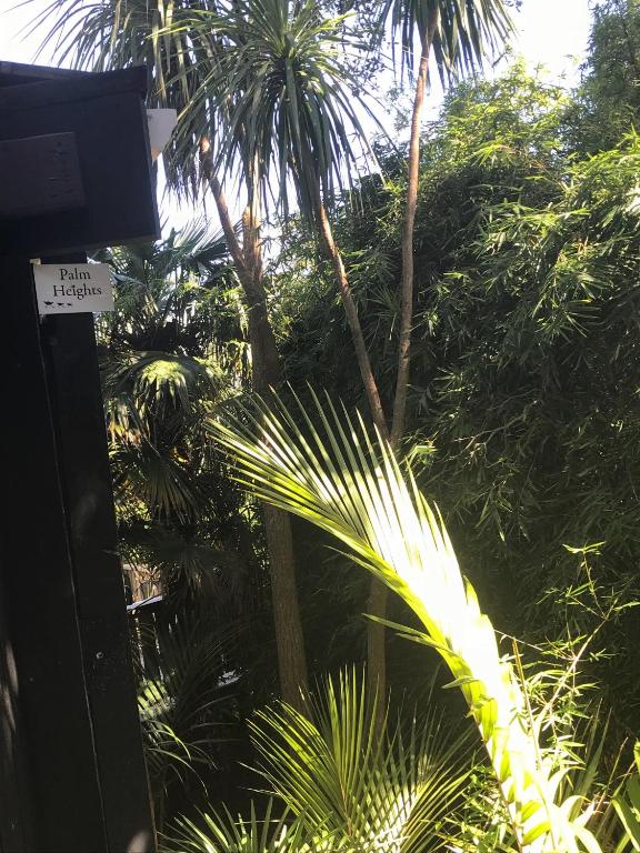 Palm Heights photo