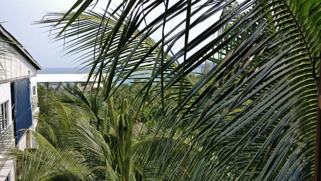 PSK VIMEAN KOH RONG Guesthouse