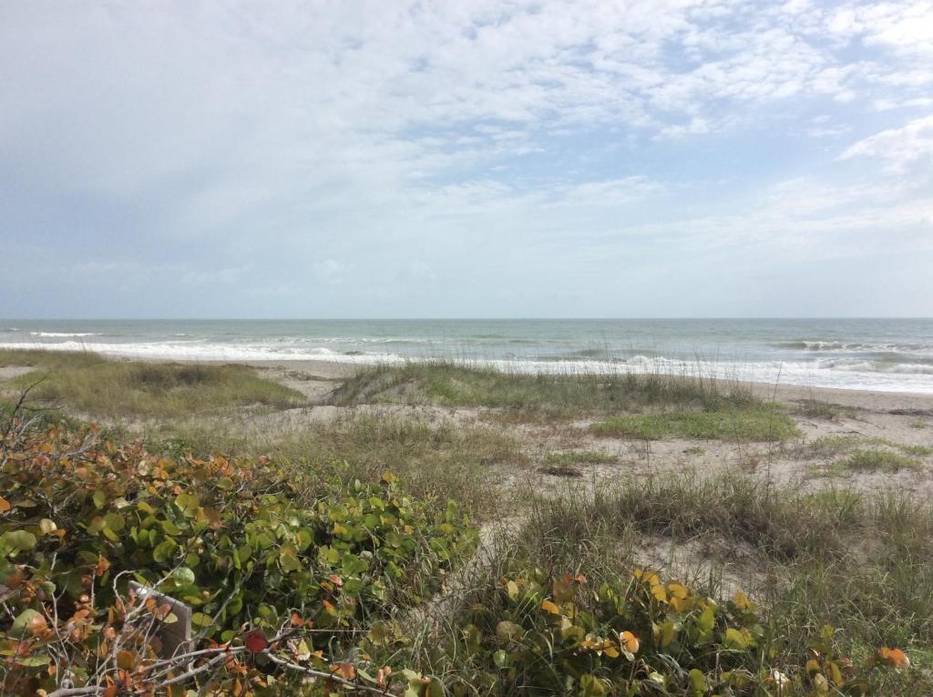 Dolphin Inn - Cocoa Beach photo