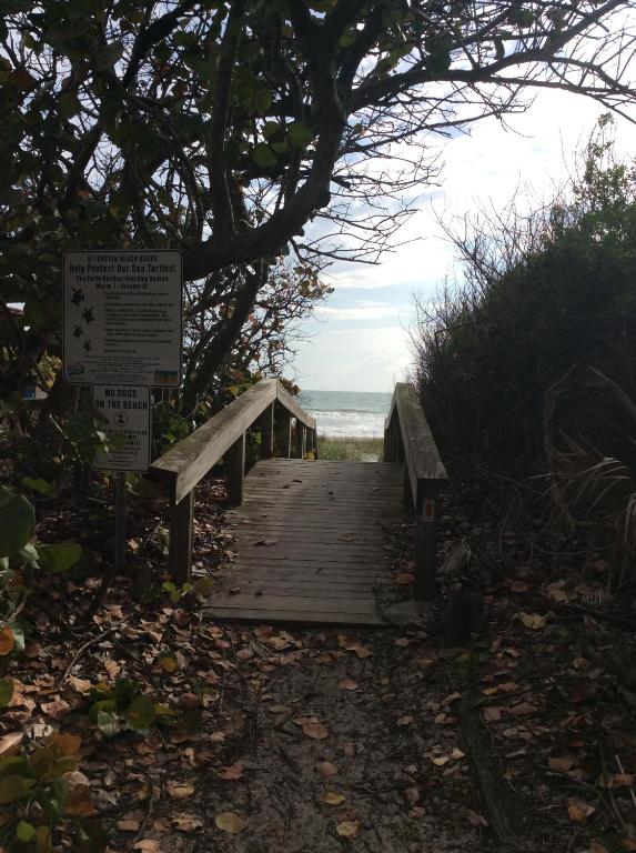 Dolphin Inn - Cocoa Beach photo