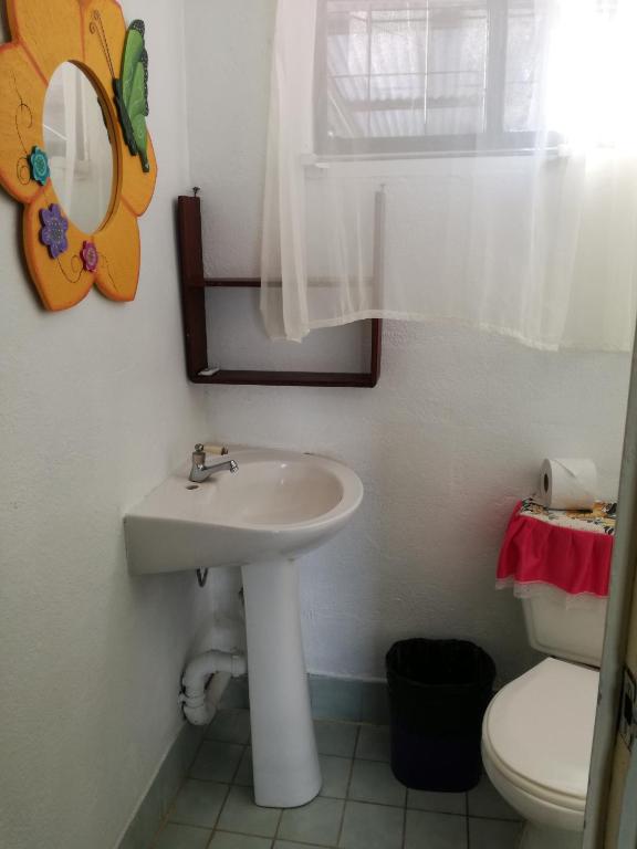 Hotel Margarita Sierpe photo