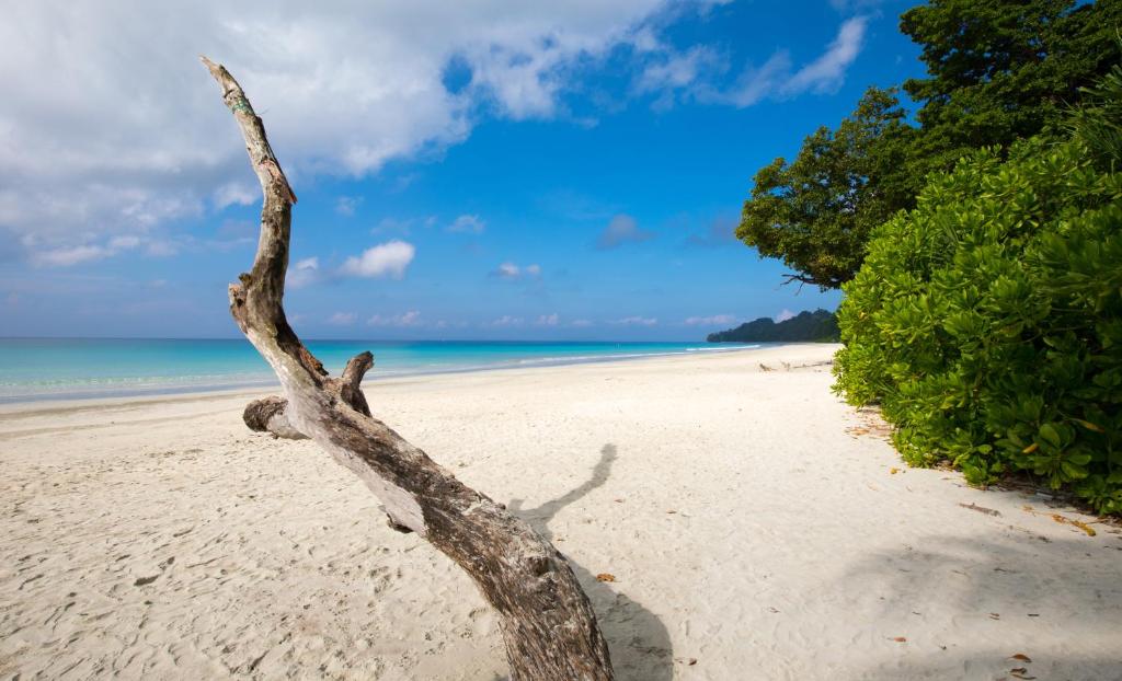 Taj Exotica Resort & Spa, Andamans photo