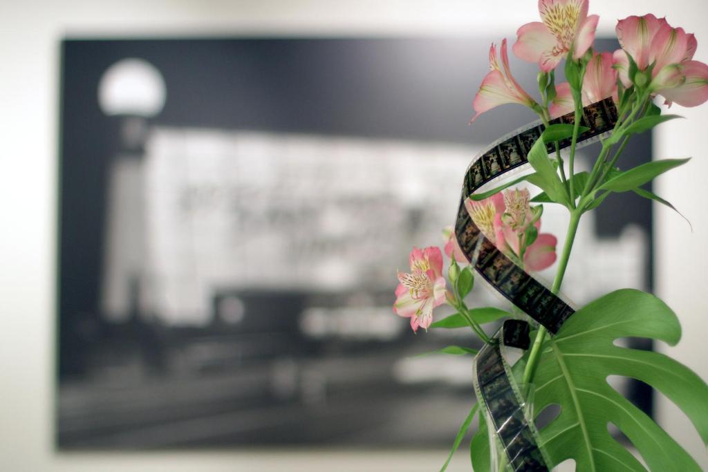 Hotel Astoria7 Photo 1