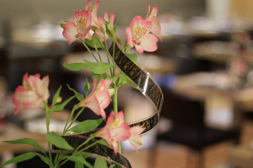 Hotel Astoria7 Photo 2