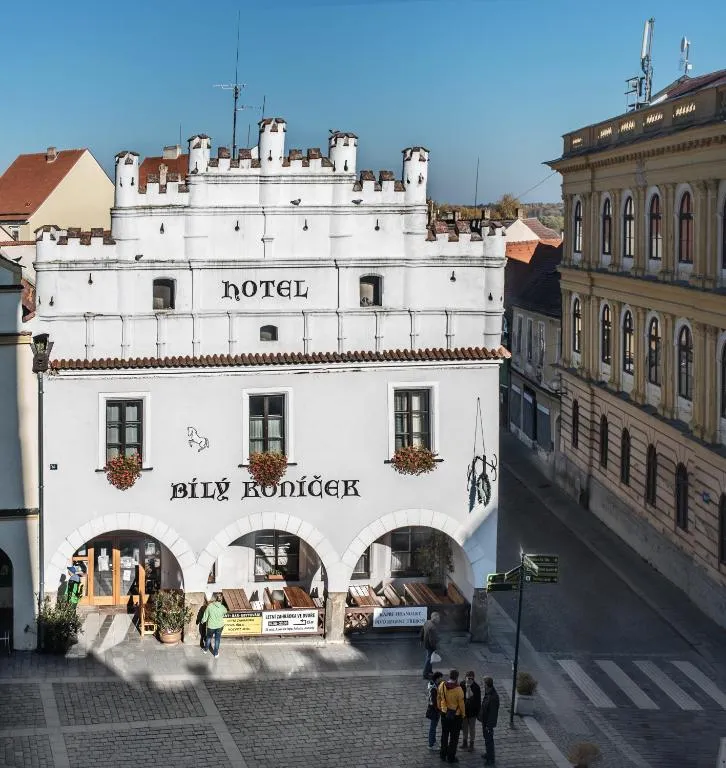 Hotel Bílý Koníček, hotel in Třeboň