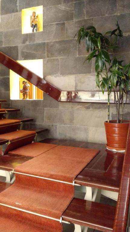 Hotel Rivera photo