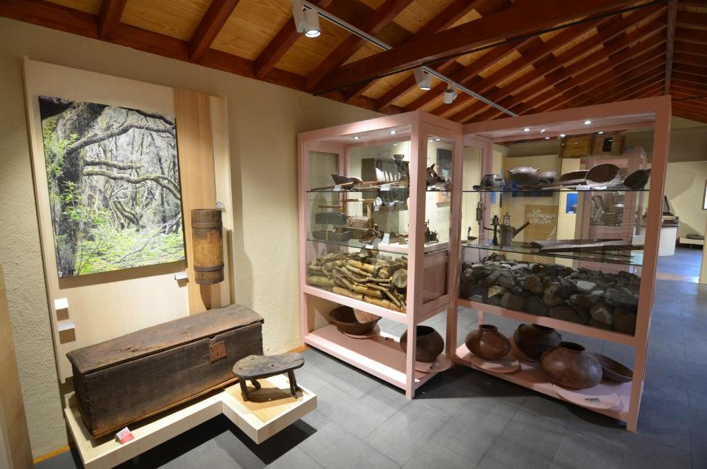 周辺観光スポット