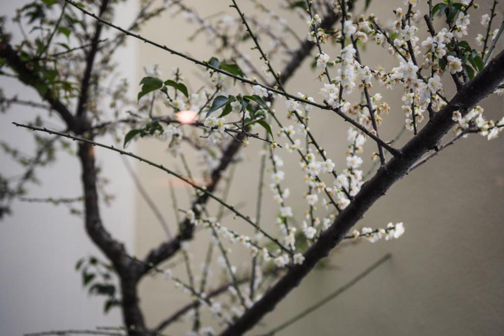 Surrounding environment