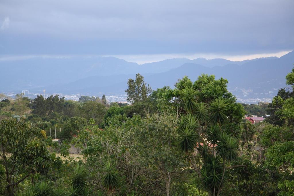 Surrounding environment