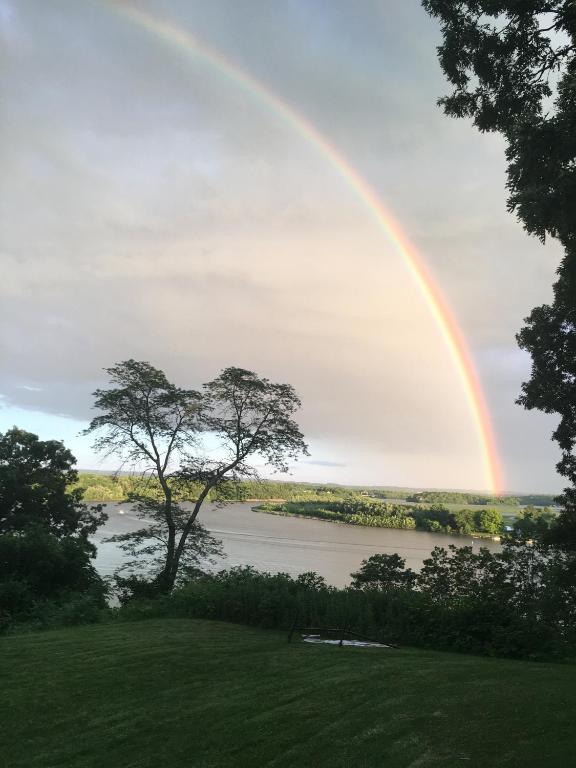 1. 오크클리프 비앤..