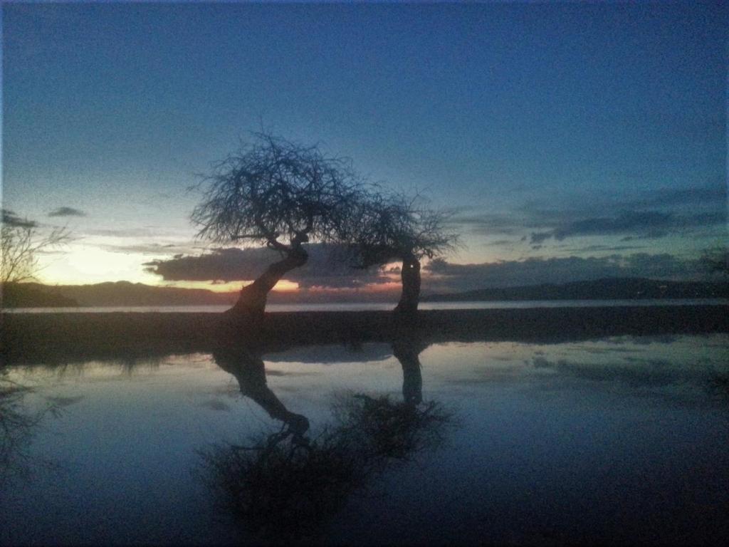 Malindi Rooms photo