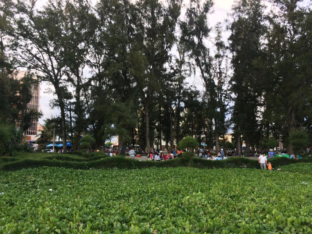 Hanh Huong Hostel photo