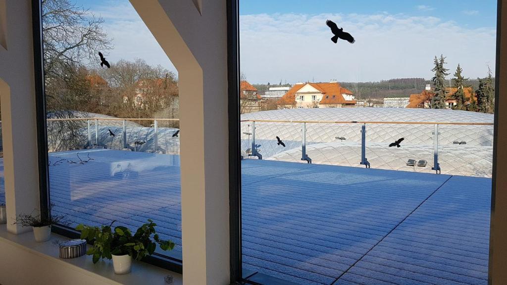 Sport Pension Cibulka photo