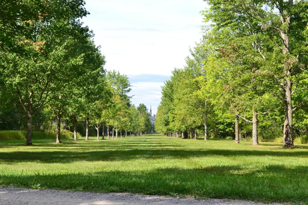 Golf course [on-site]