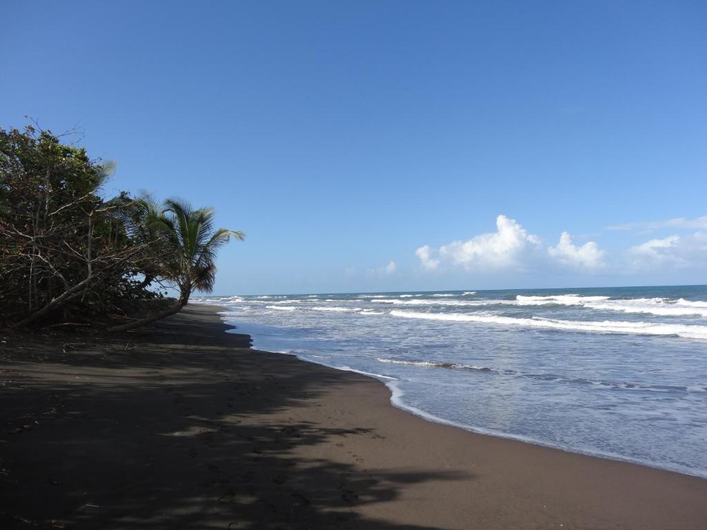 La Casona de Tortuguero photo