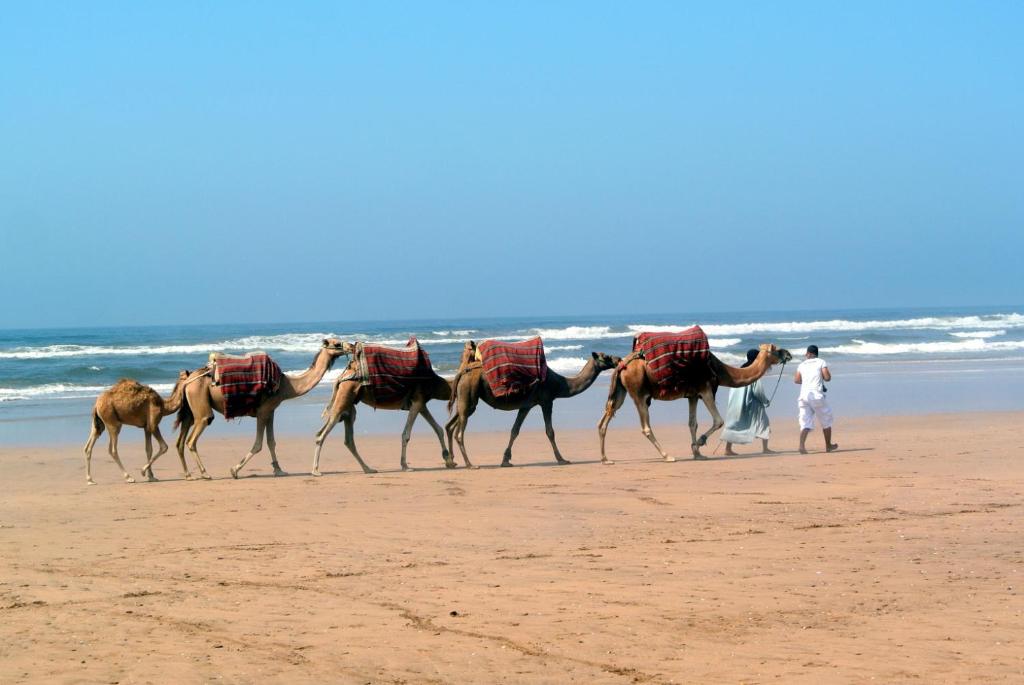 Riad Dar El Malaika photo