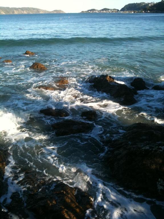 Karaka Bays