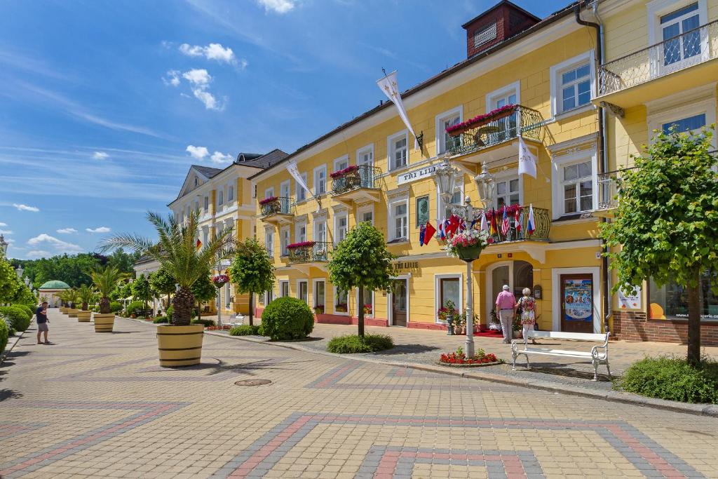 Hotel Three Lilies — Hotel in Frantiskovy Lazne