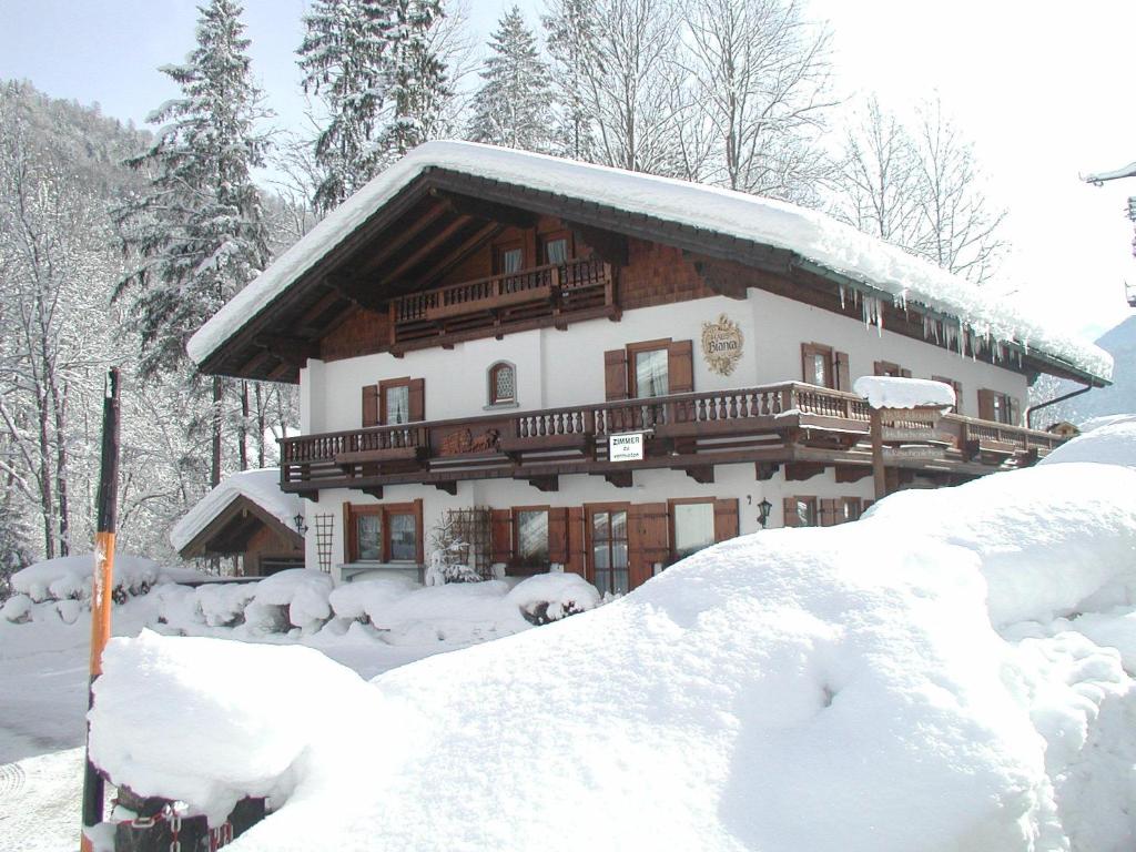 Alpenchalet Bianca 전경