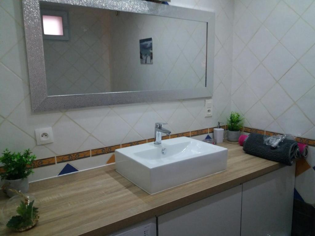cavaliere studio 2 pers - 5
