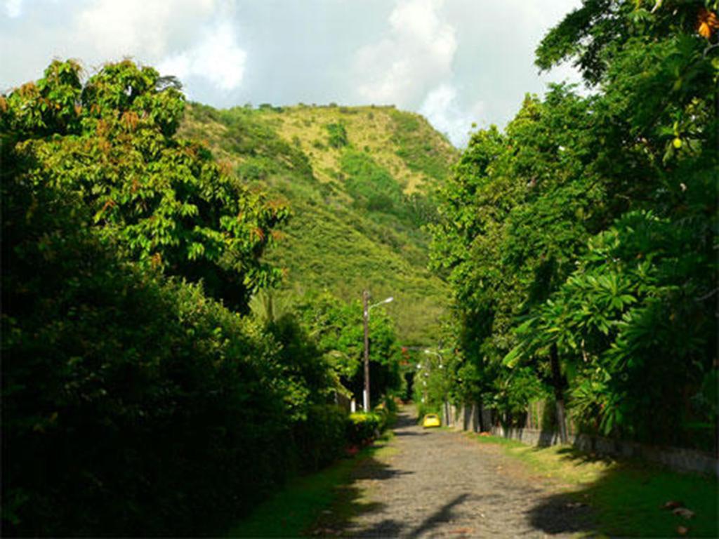 Surrounding environment