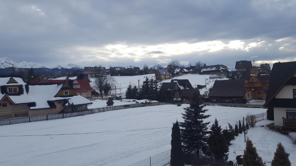 Lesne Zacisze photo