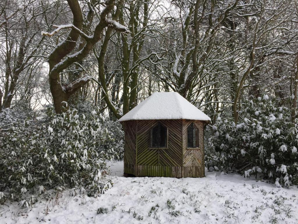 Surrounding environment