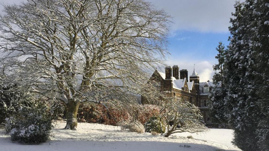 Surrounding environment