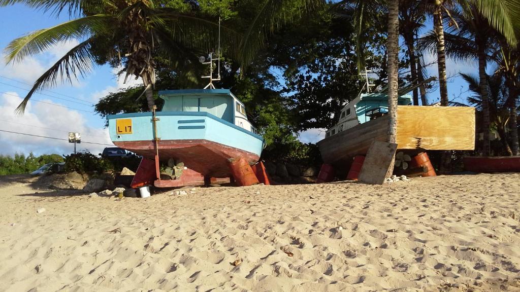 Surrounding environment