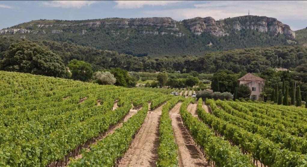 MISTRAL Gagnant, Cassis