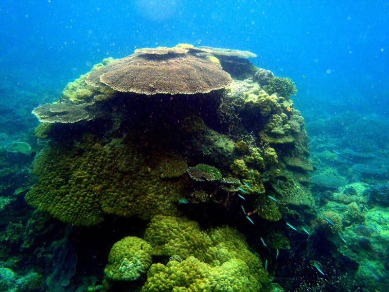 Sports and activities