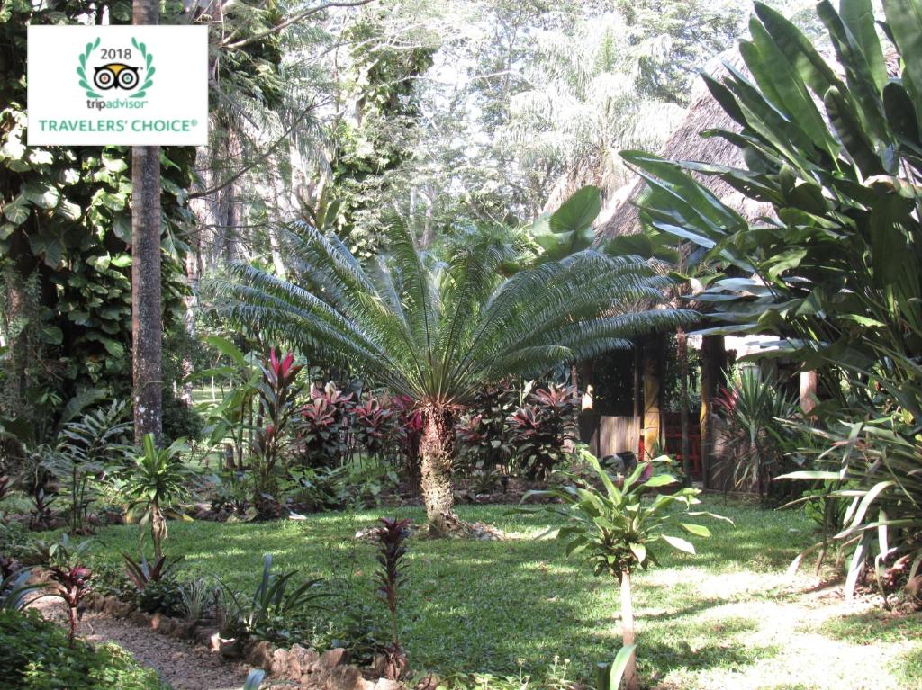 Macaw Bank Jungle Lodge — Hotel in San Ignacio