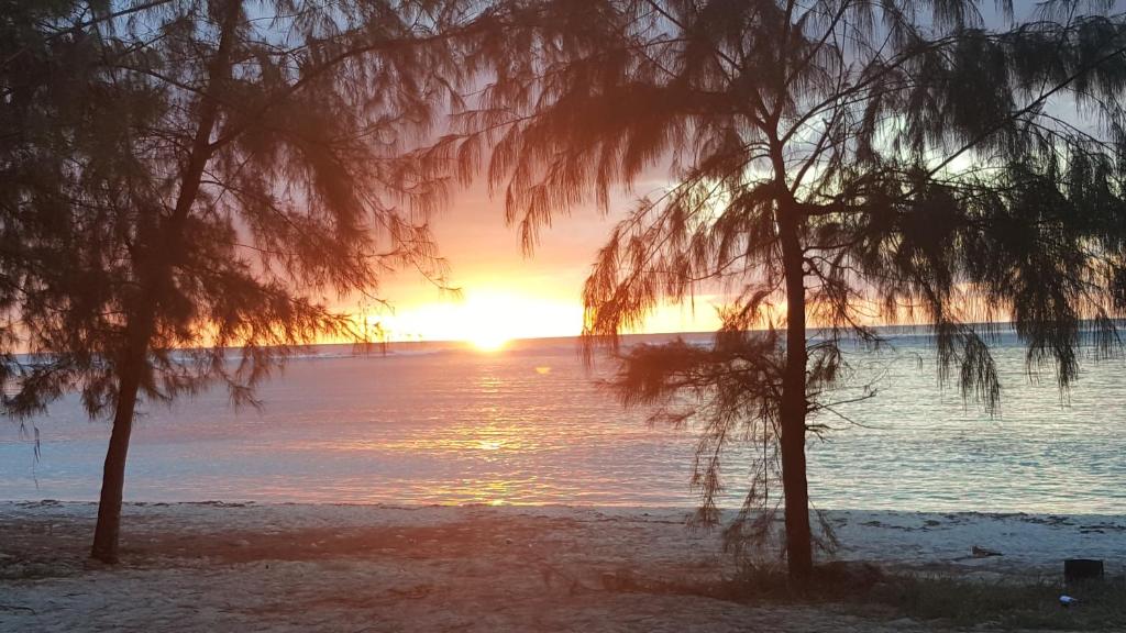 Saipan Beach Hotel photo