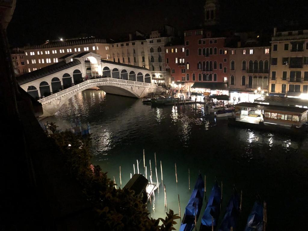 Rialto Terrace on the Grand Canal - 3