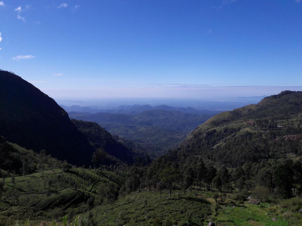 Ella Banana Rest Inn, Ella