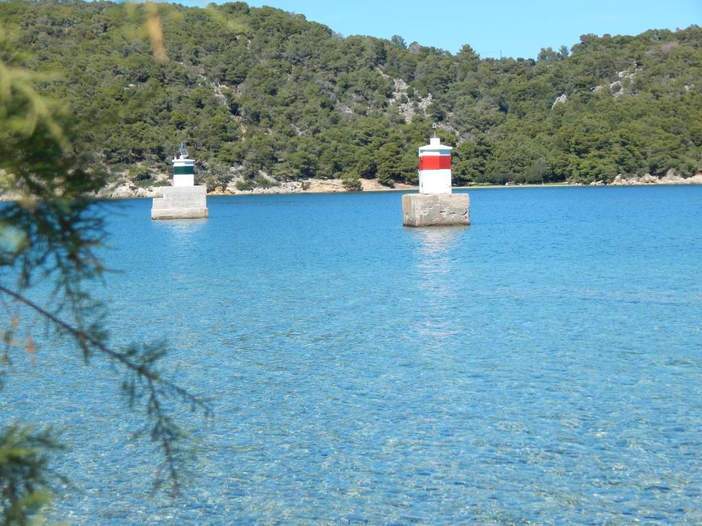 Poseidon photo