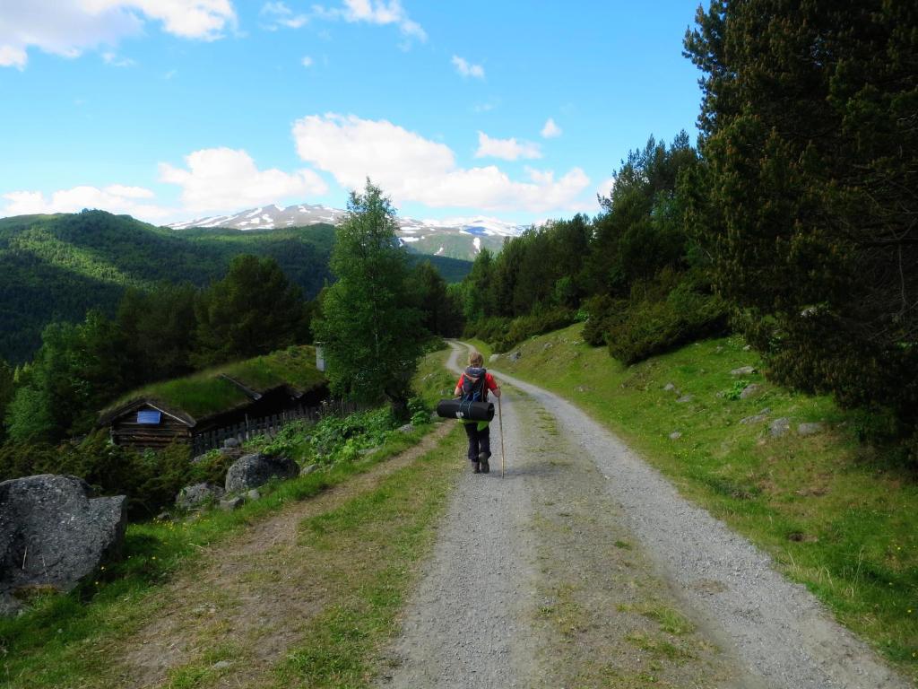Strind Gard, Visdalssetra photo