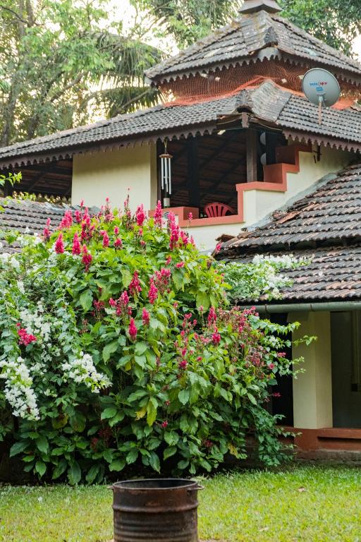 Mangaal Farmstay Goa photo