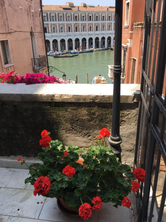 AlPalazzoLionMorosini photo