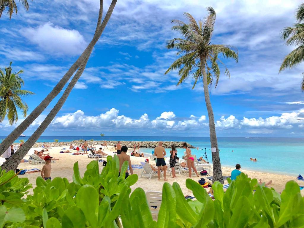 周辺観光スポット