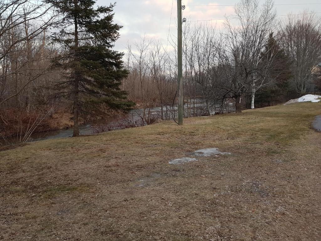 Covered Bridge Inn & Suites photo