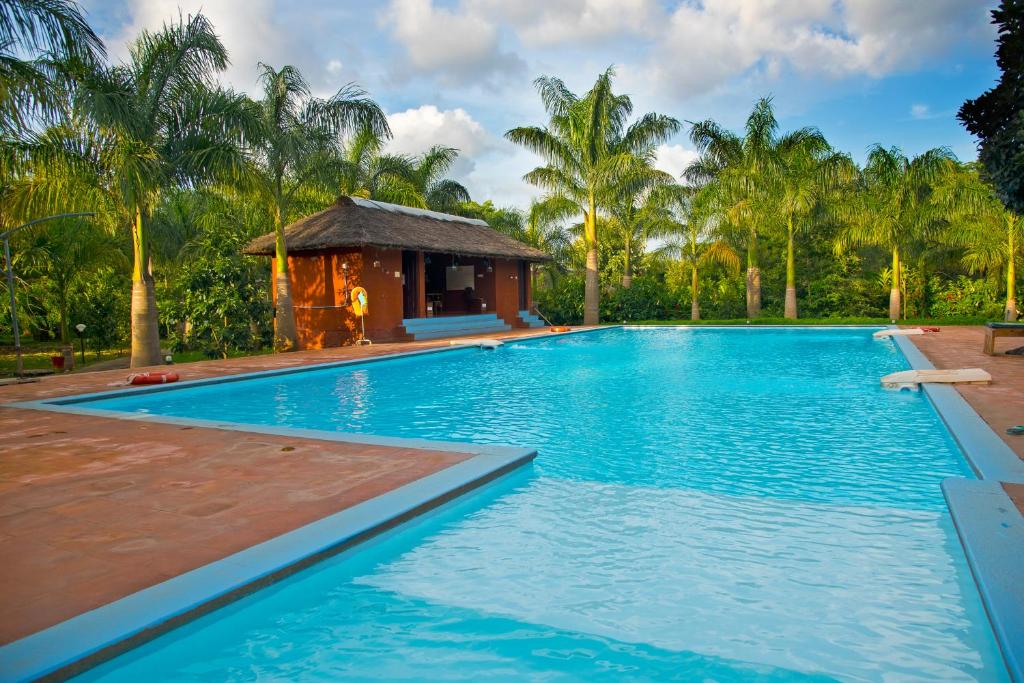 Swimming pool, Red Earth Kabini in Kittur